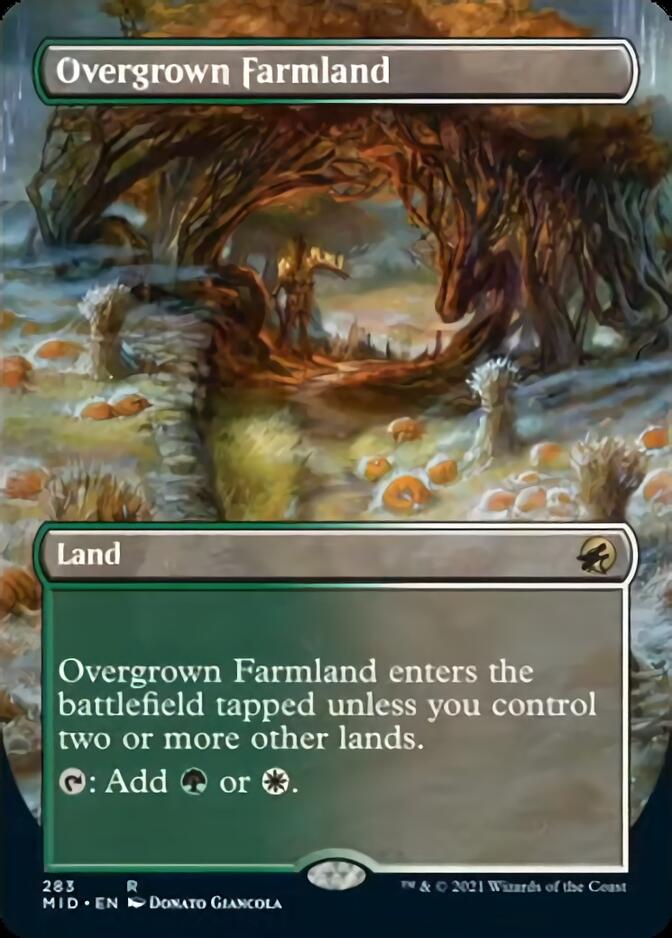 Overgrown Farmland (Borderless) [Innistrad: Midnight Hunt]